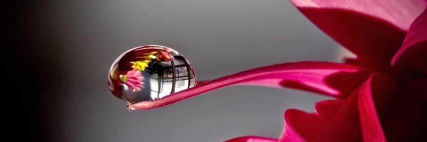 Marite7627's profile banner image