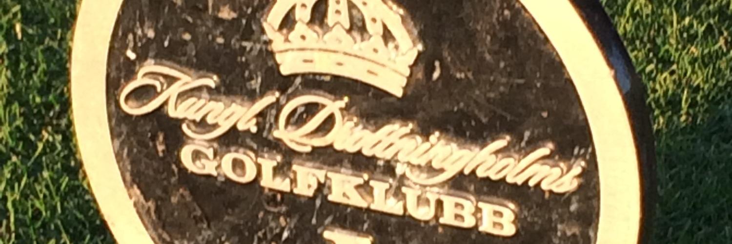 HussMagnus's profile banner image