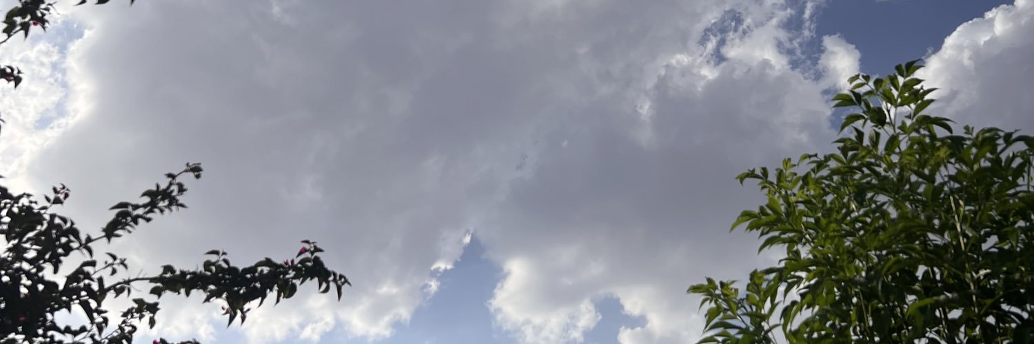 iiAMJAD_5's profile banner image