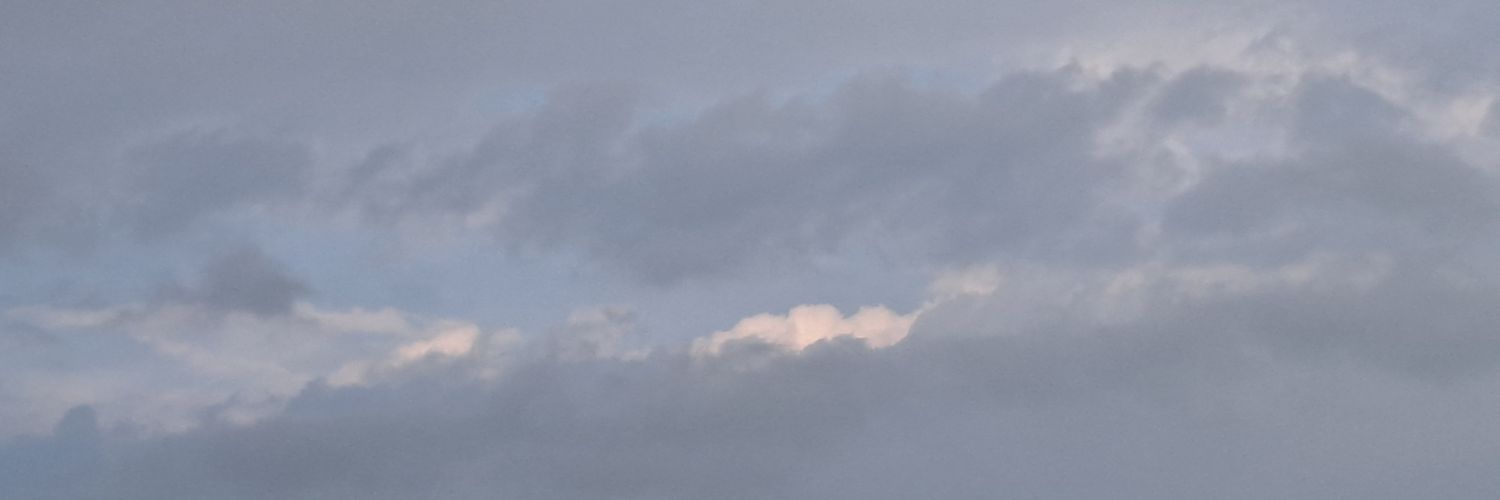 alalmigo_05's profile banner image