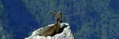 Jann_Bann's profile banner image