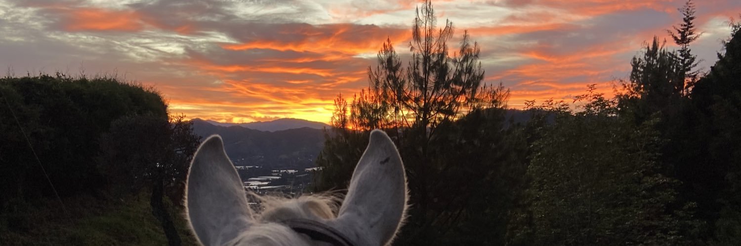 Isabel Tobón banner