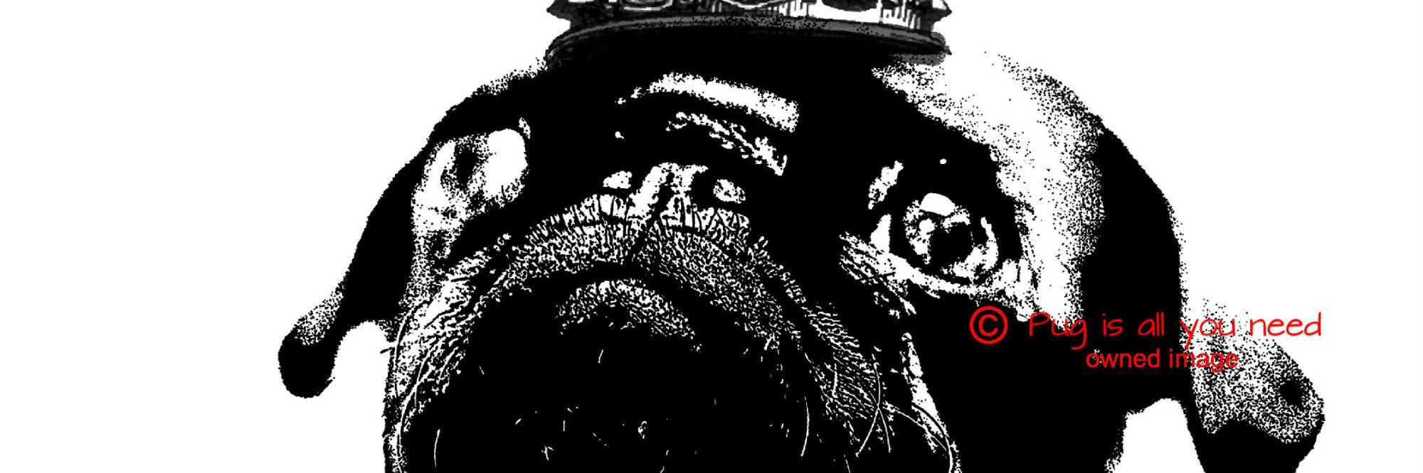 pugisallyouneed's profile banner image