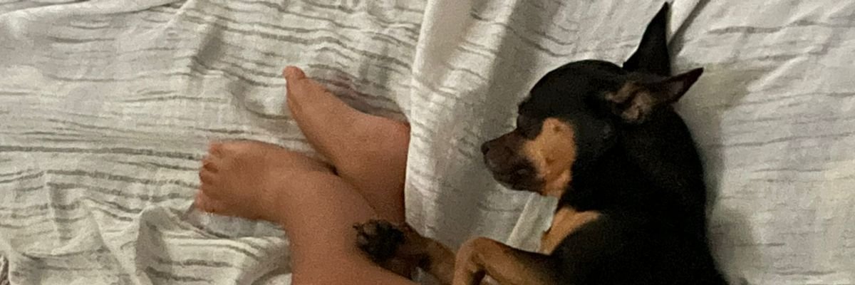abreugessy's profile banner image