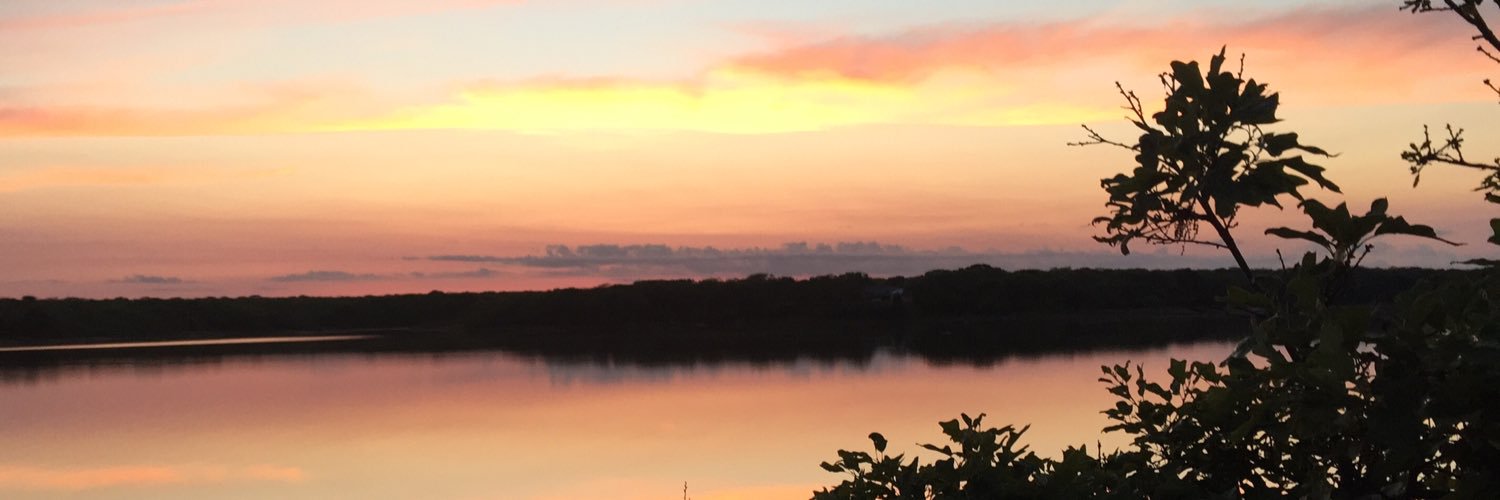 gabilachapel's profile banner image