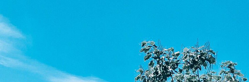 feddenis19's profile banner image