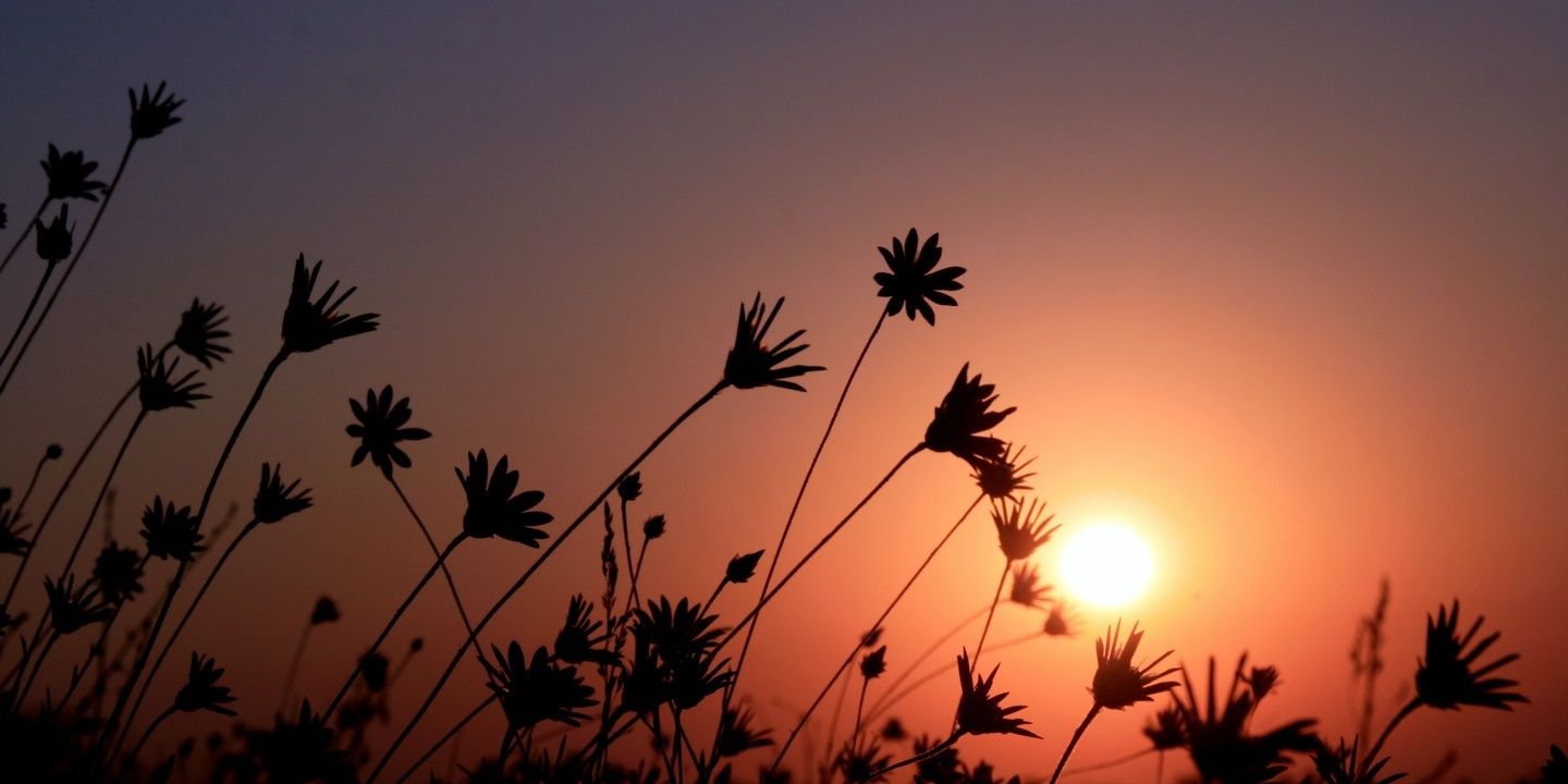 aayse0831's profile banner image
