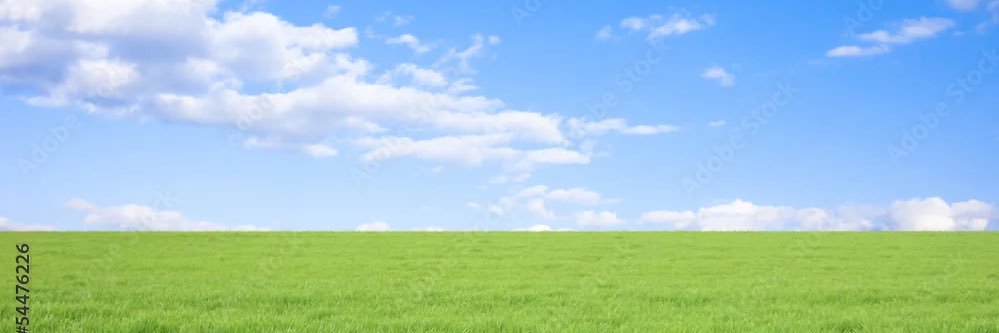utamimi33's profile banner image
