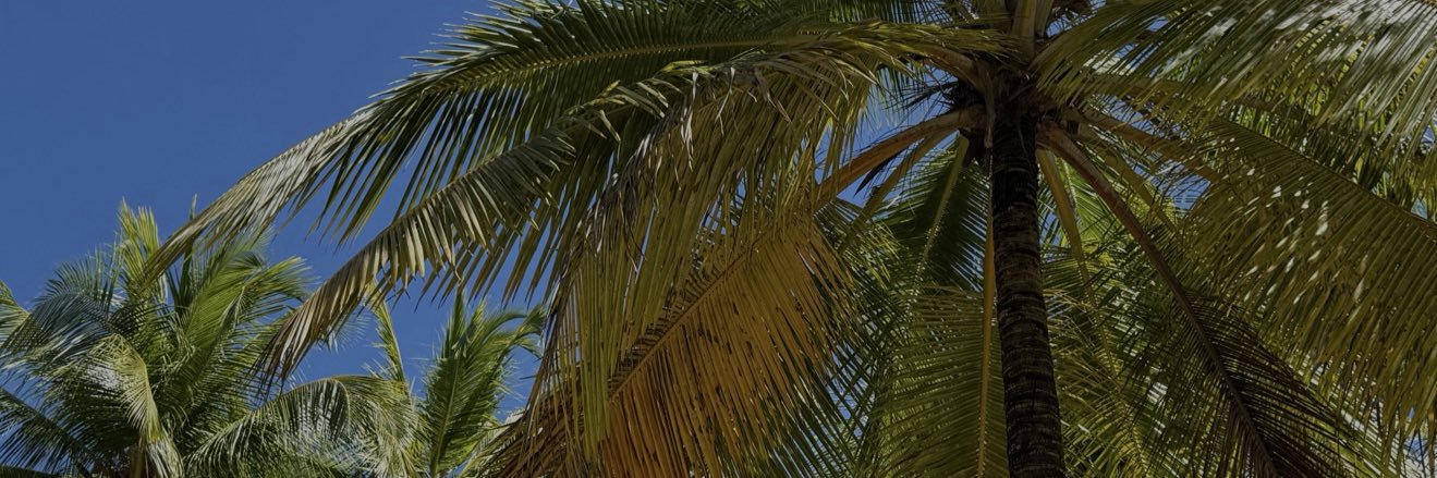 Roluzza_'s profile banner image