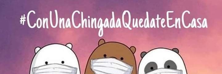 ximenitablack's profile banner image