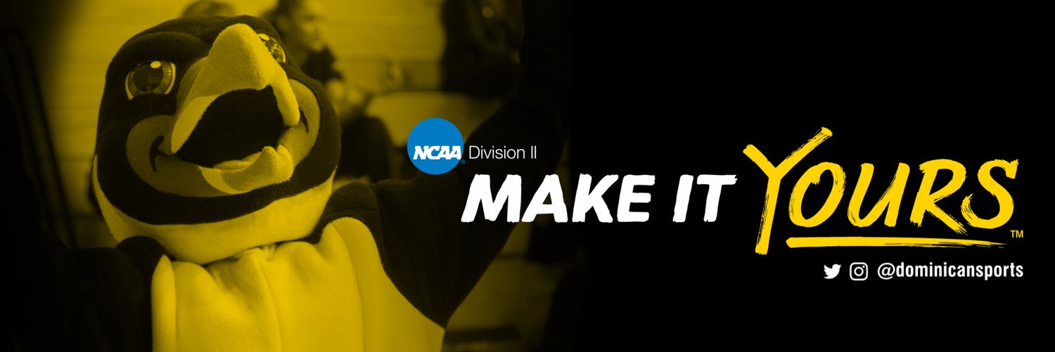 dominicansports's profile banner image