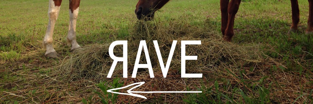 RaveResidency's profile banner image