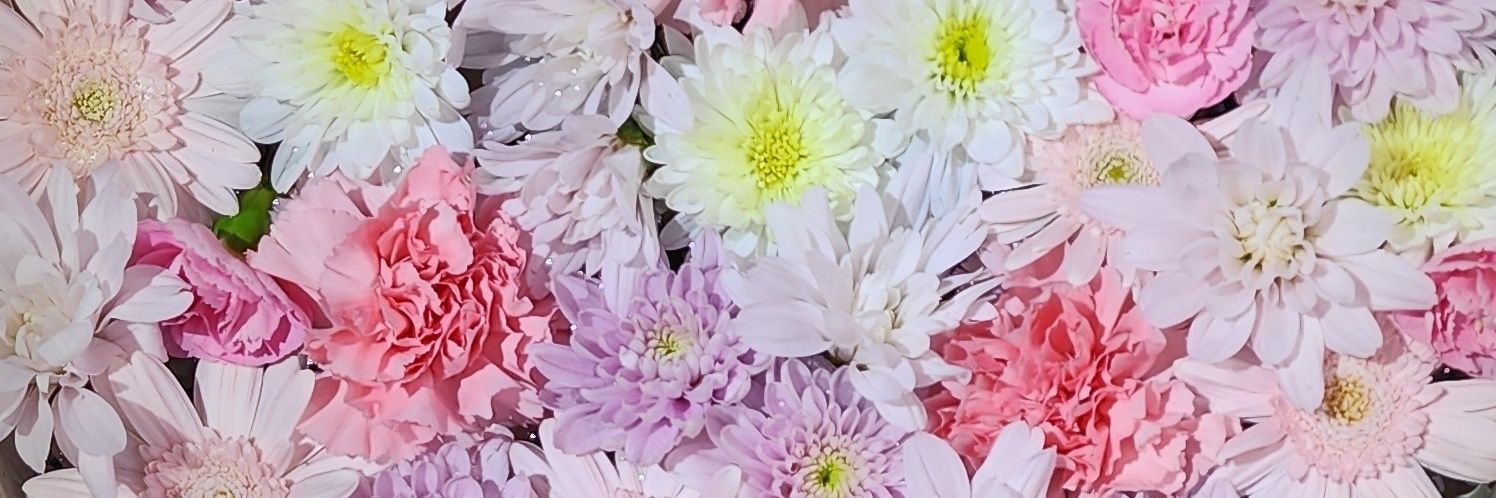 _6f25t's profile banner image