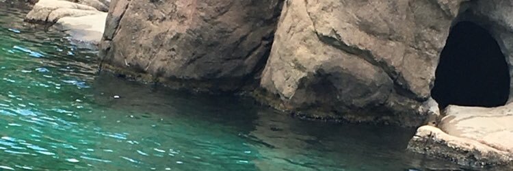 mellevaal's profile banner image