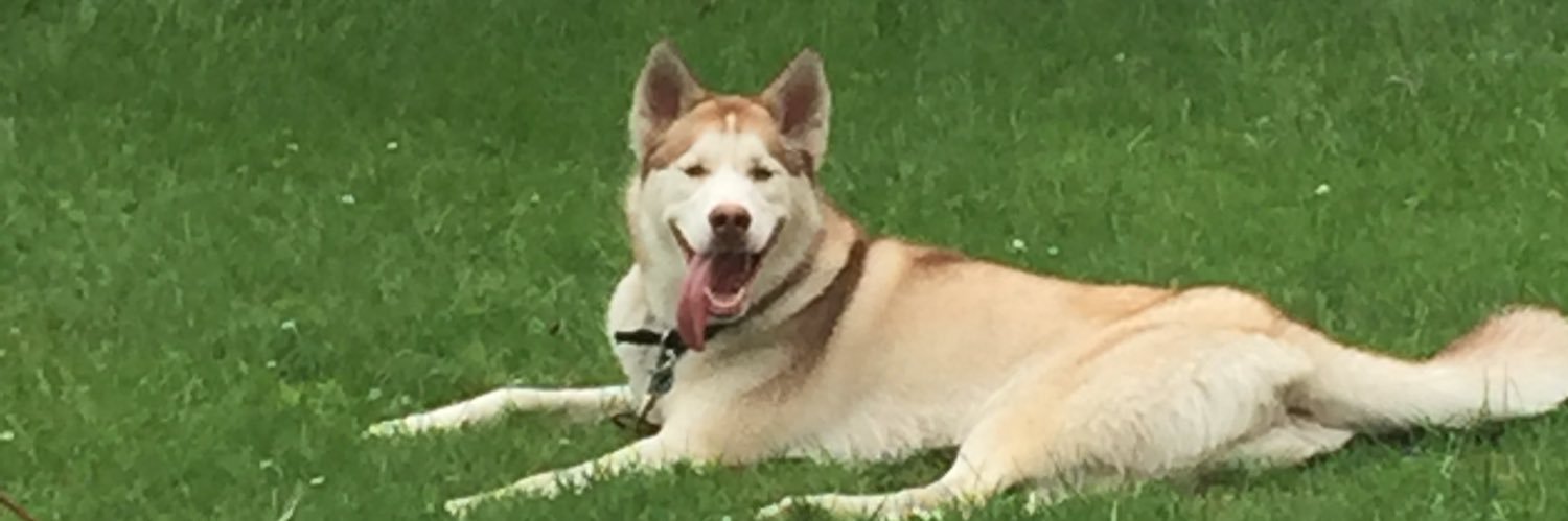 S_W0001's profile banner image