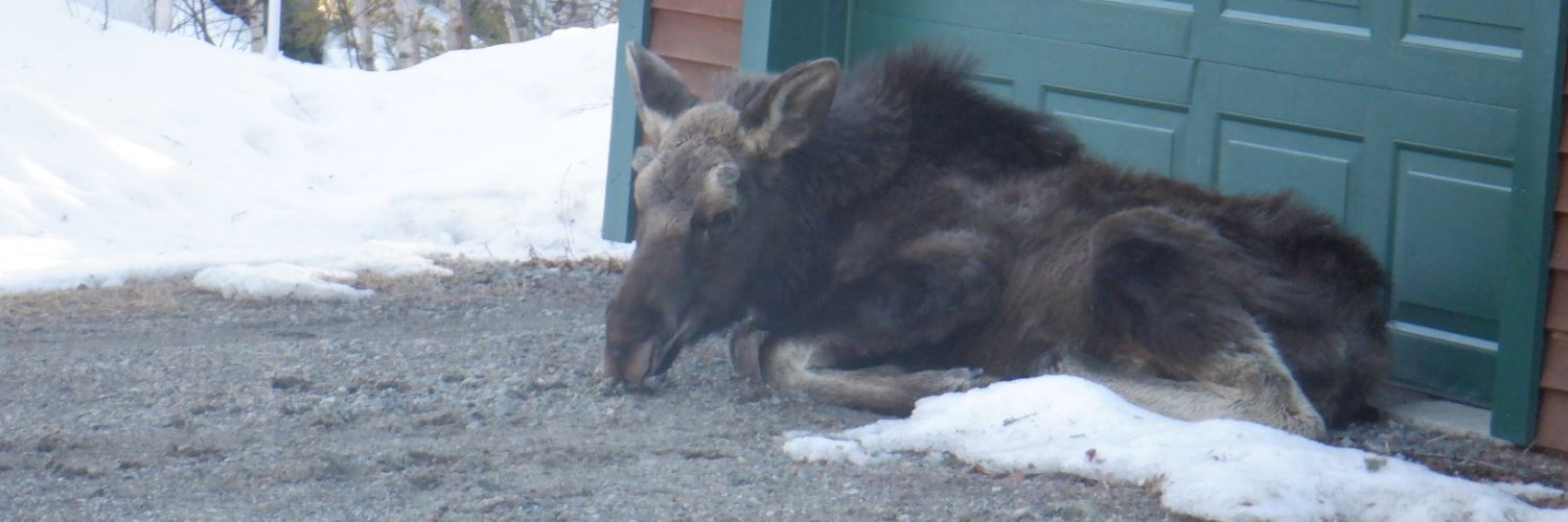 George Blanker☮️🇺🇦 banner