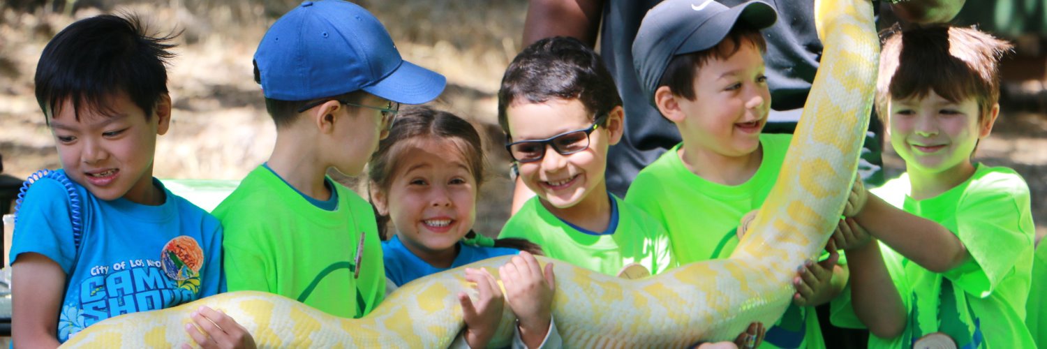 Los Altos Recreation banner
