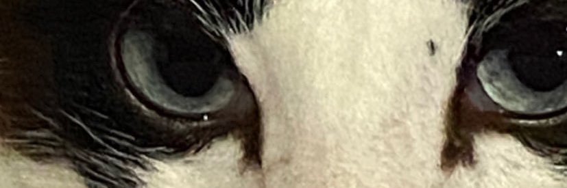 jwdibefbu3f's profile banner image