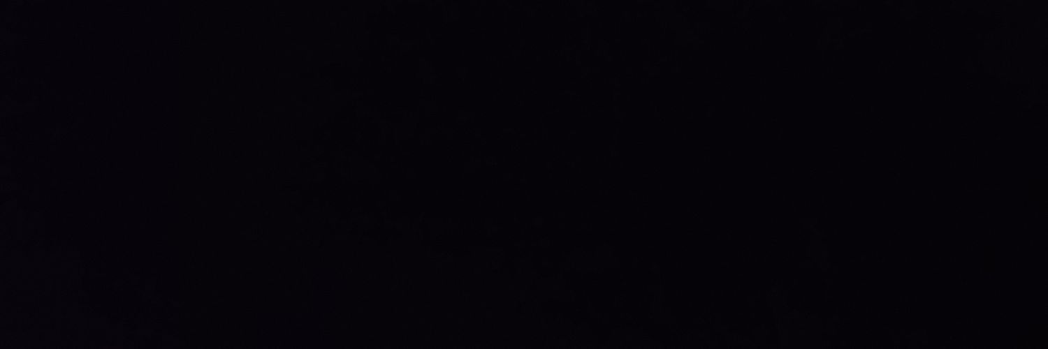 ConcealingFire's profile banner image