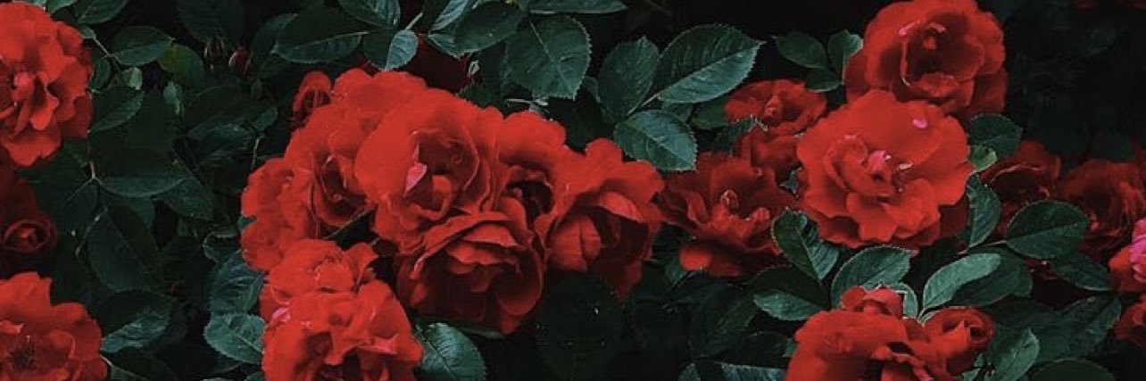 yarata9's profile banner image