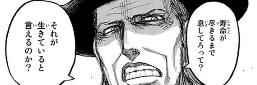 honocastera's profile banner image