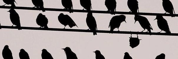 AmandaHayes6's profile banner image