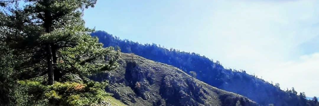 Beantsharma5's profile banner image