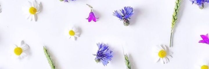 selin_dcan's profile banner image