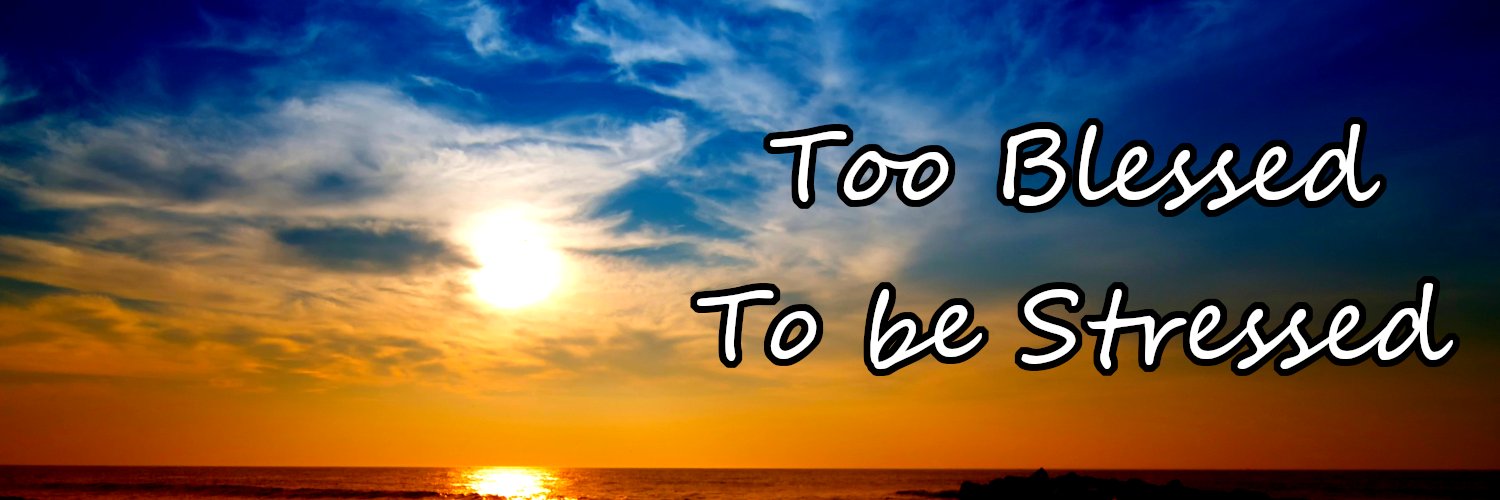 bowtochris.bsky.social banner