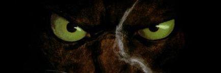 OBarre1's profile banner image