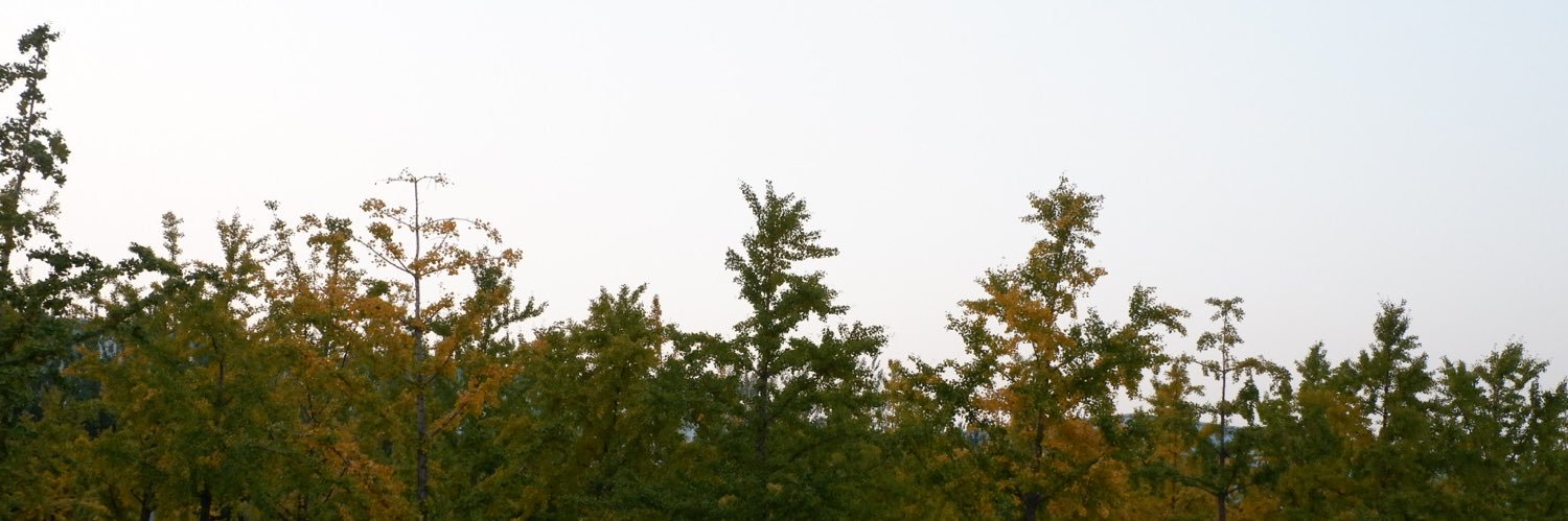 nchantingdiary's profile banner image