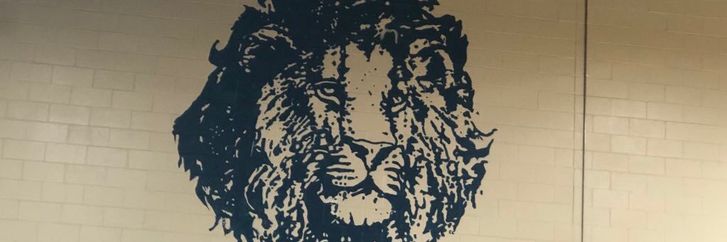 steighnerfans's profile banner image