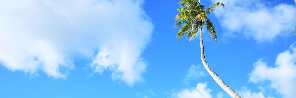 KYasuko1223's profile banner image