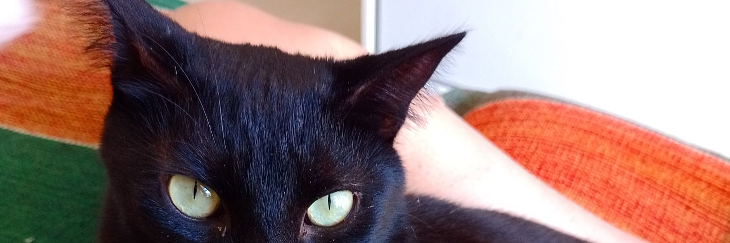 AnaAnaicaro's profile banner image