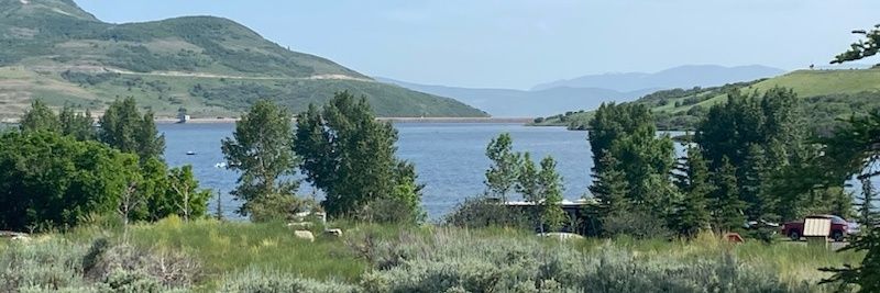 Gma Peace 🌻🐳 banner