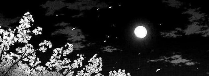 bowknotluuna97's profile banner image