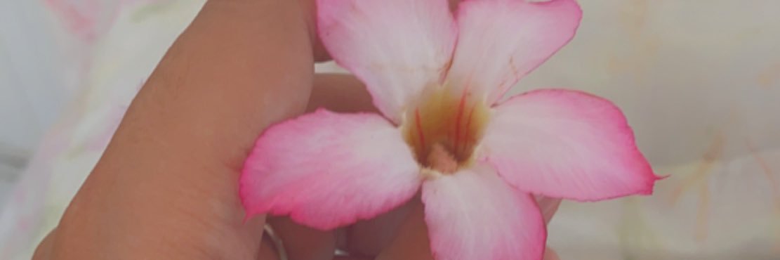 lorelayaguilo's profile banner image