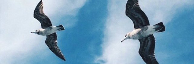 AzahAlraddadi's profile banner image