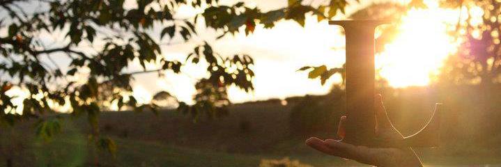 Lydia Hascott banner