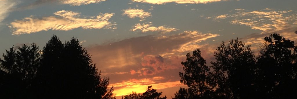 Isaiah Utt banner