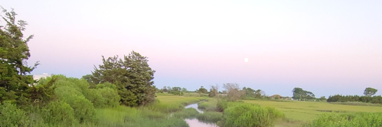nnido610's profile banner image
