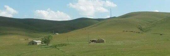 rohat_roj's profile banner image