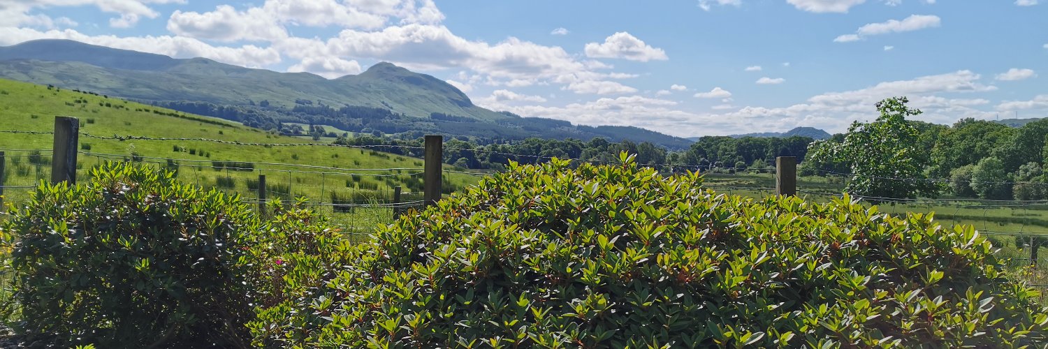 AlexCormack104's profile banner image