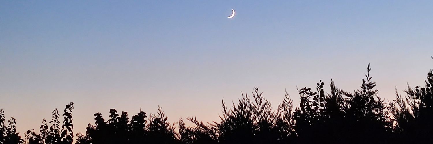 just_a_boy_____'s profile banner image