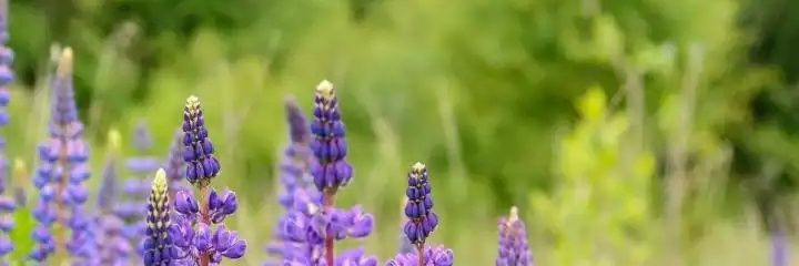 Sitizakia15_'s profile banner image