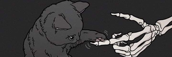 SykNcide_'s profile banner image
