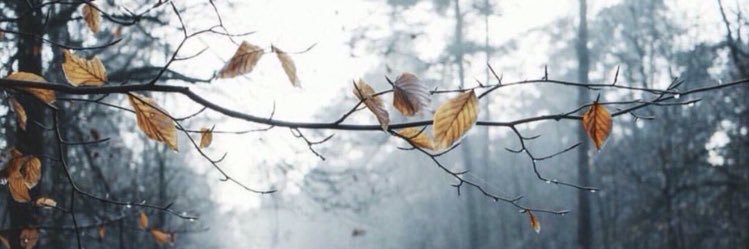 2u2u__'s profile banner image