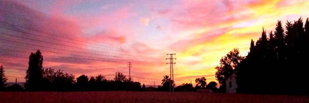 _MiguelACE's profile banner image