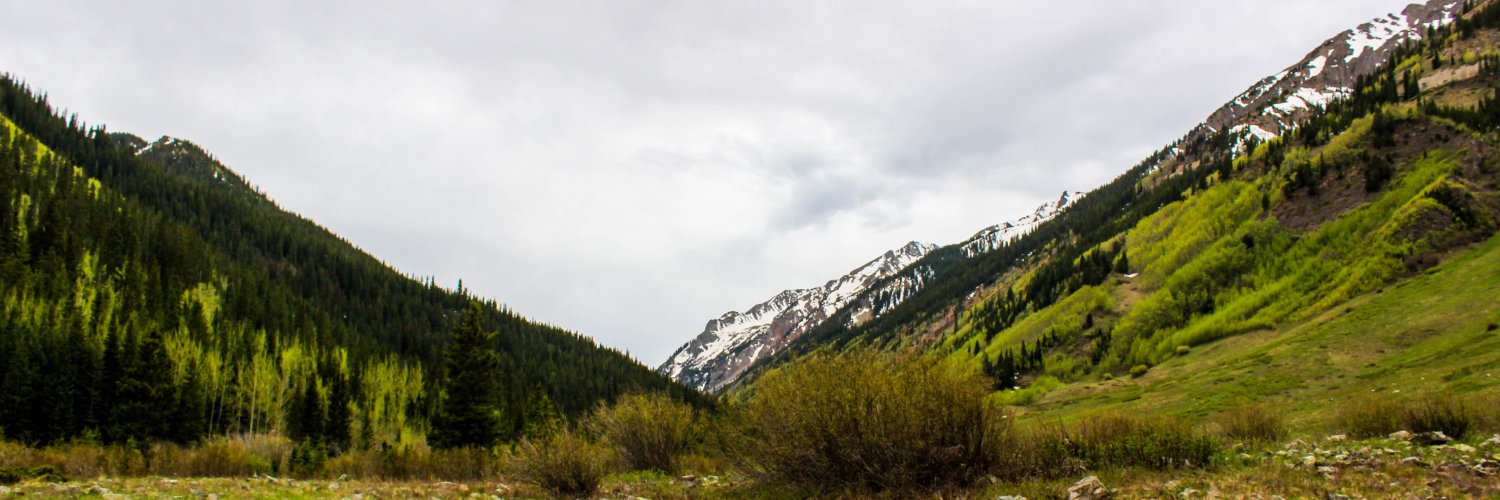 head_veronica's profile banner image