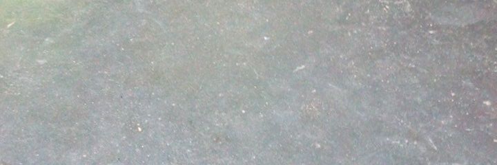 anvika11's profile banner image